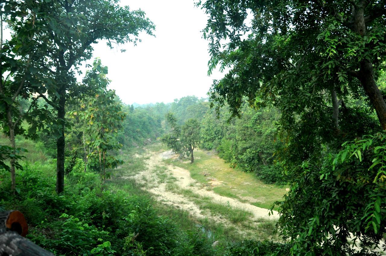 The Riverwood Forest Retreat Pench Khawasa Luaran gambar