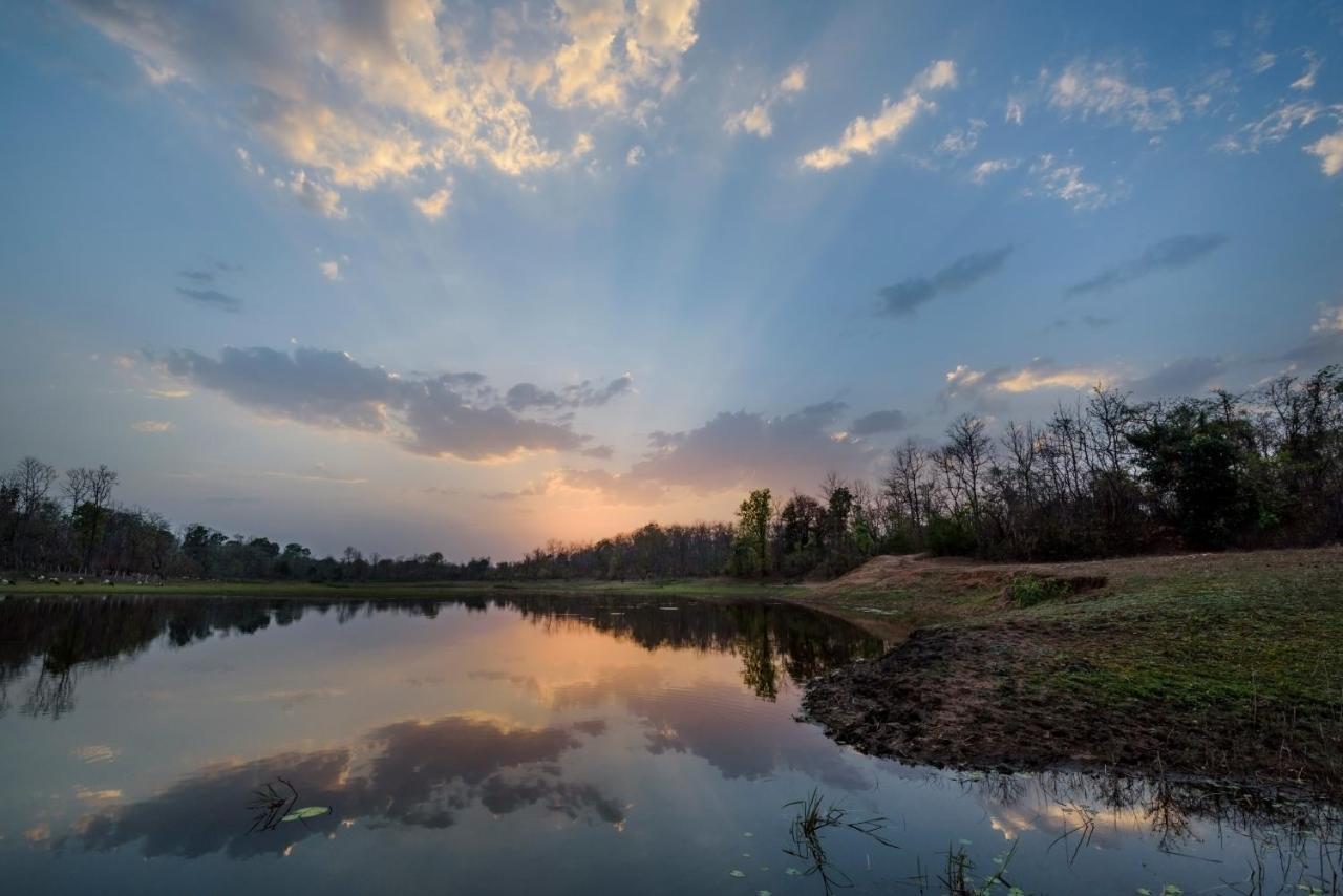 The Riverwood Forest Retreat Pench Khawasa Luaran gambar